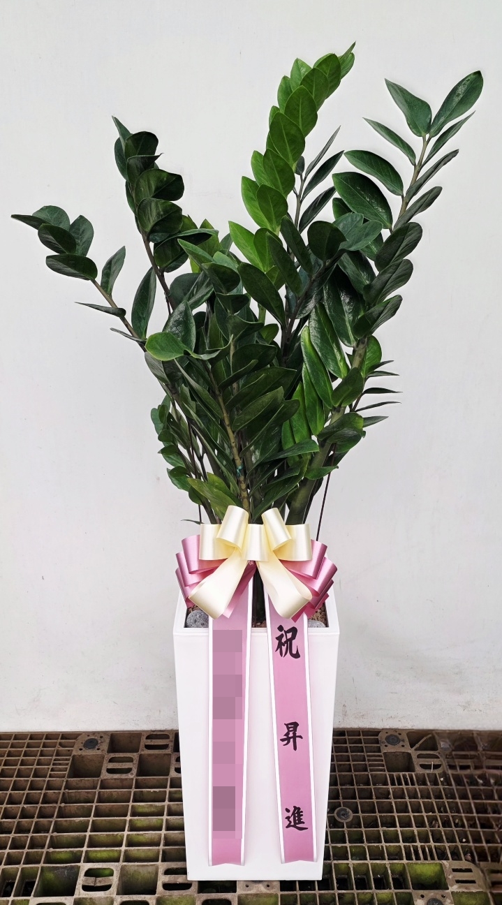 주문자 대ㅇㅇ 서울로 주문주신 상품입니다