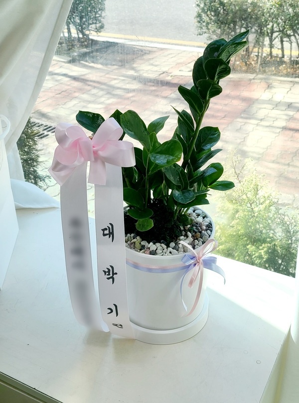 주문자 정ㅇㅇ 울산으로  주문주신 상품입니다