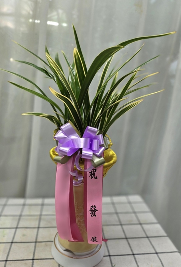 주문자 고ㅇㅇ 김해로 주문주신 상품입니다