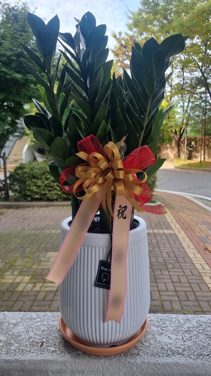 주문자 대ㅇㅇㅇ 남양주로 주문주신 상품입니다