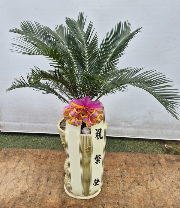 주문자 곽ㅇㅇ 청주로 주문주신 상품입니다