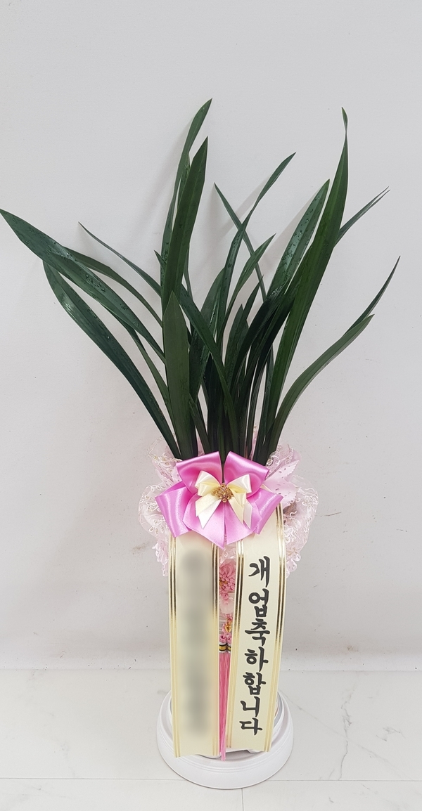 주문자 박ㅇㅇ 천안으로 주문주신 상품입니다