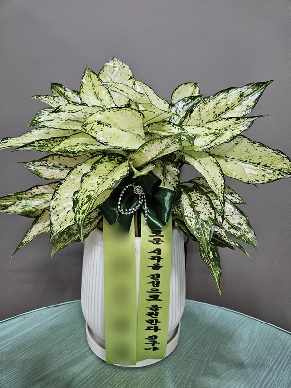 주문자 이ㅇㅇ 부산으로 주문주신 상품입니다