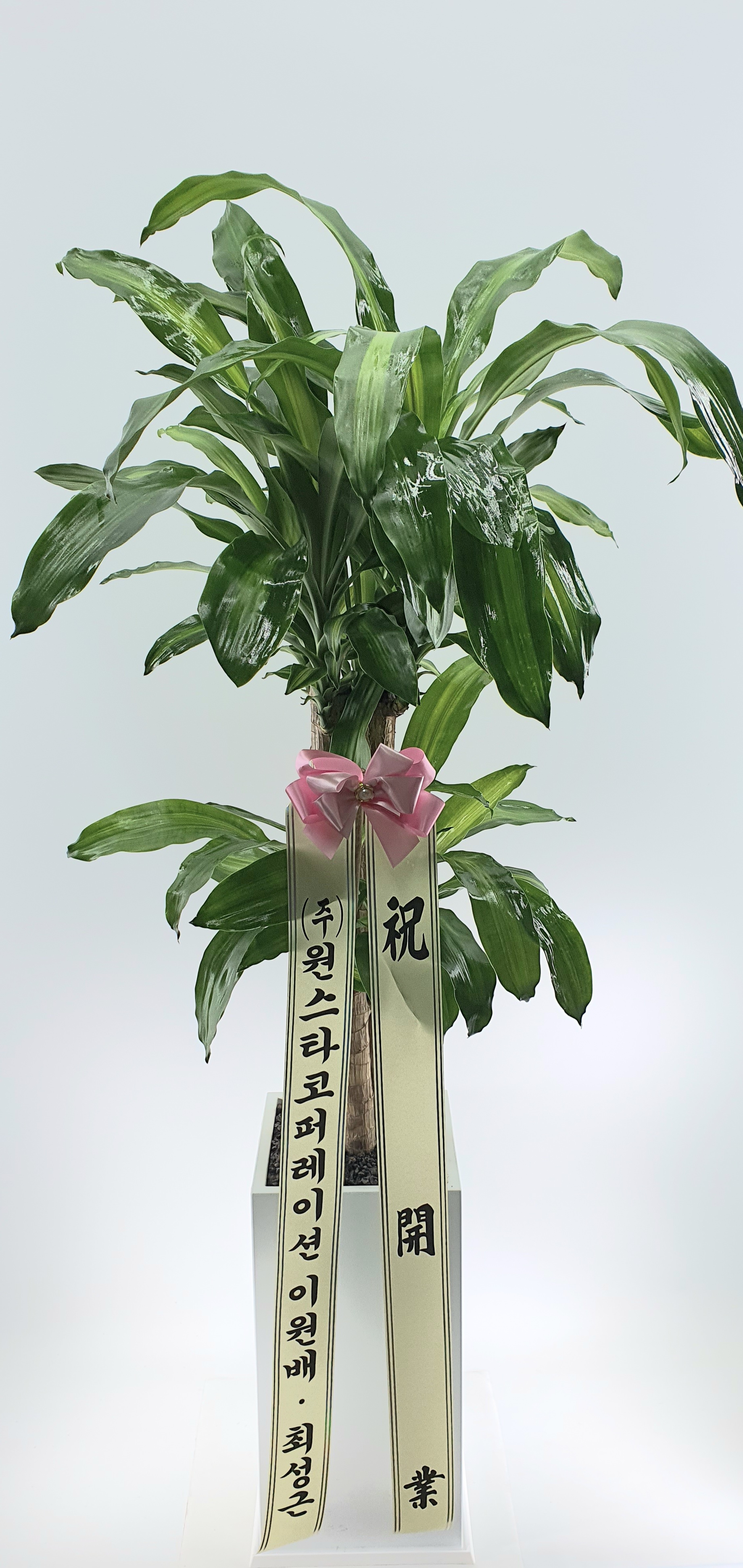 주문자 이ㅇㅇ 서울로 주문주신 상품입니다