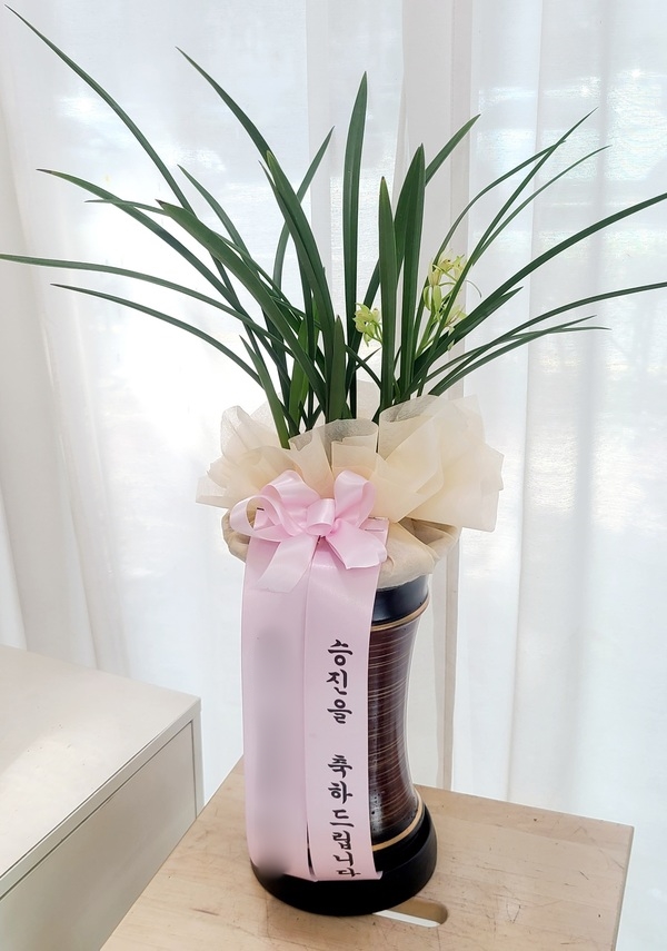 주문자 정ㅇㅇ 울산으로 주문주신 상품입니다
