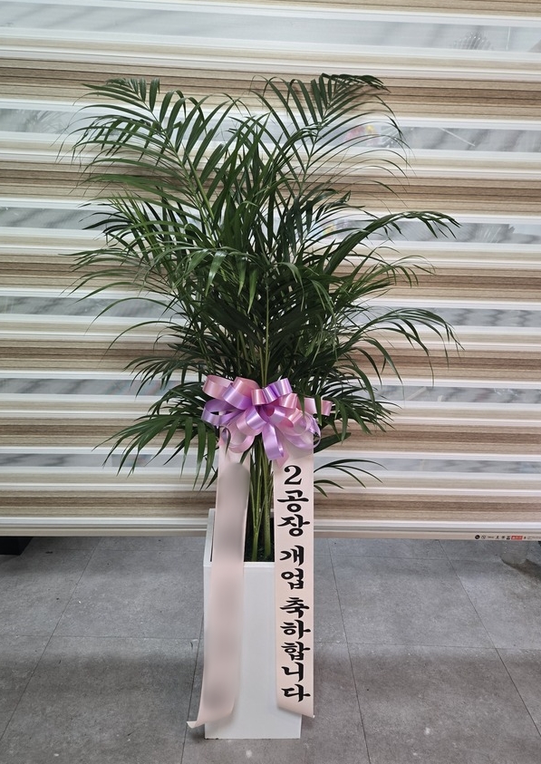 주문자 윤ㅇㅇ 춘천으로 주문주신 상품입니다