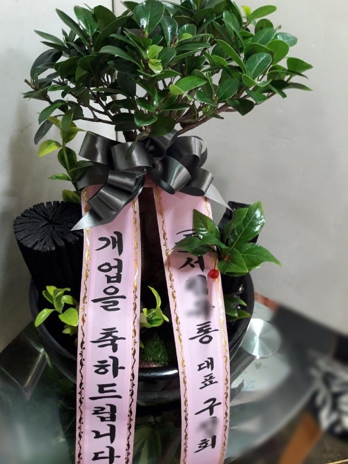 서OO통님이 주문하신 분재