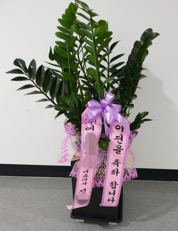 주분자:정ㅇ운/경기도 이천으로 배송된 사진입니다 