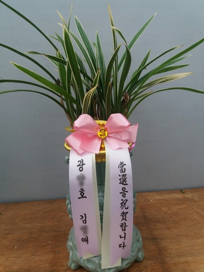 김O애님이 주문하신 동양난